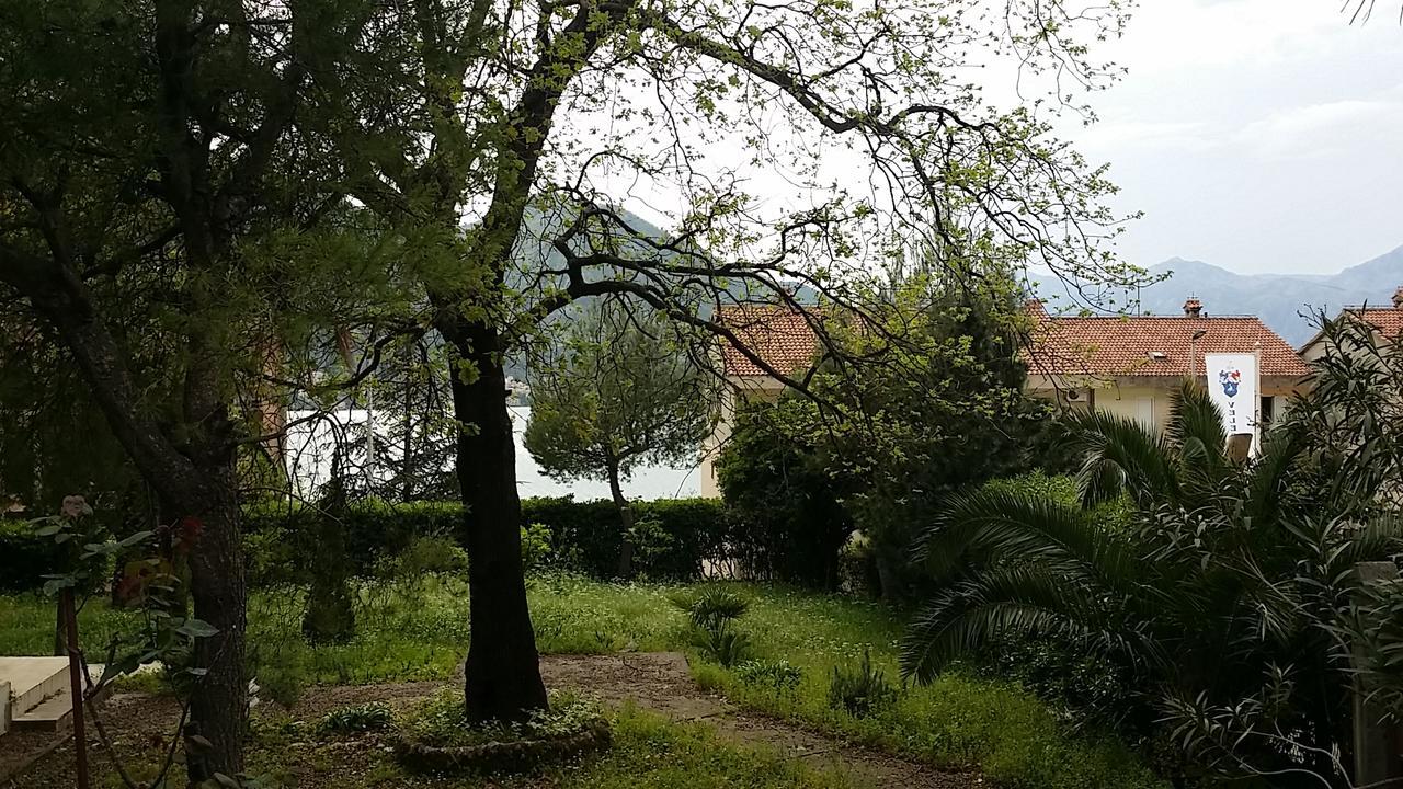 Apartman - Dobrota Sun Kotor Eksteriør billede
